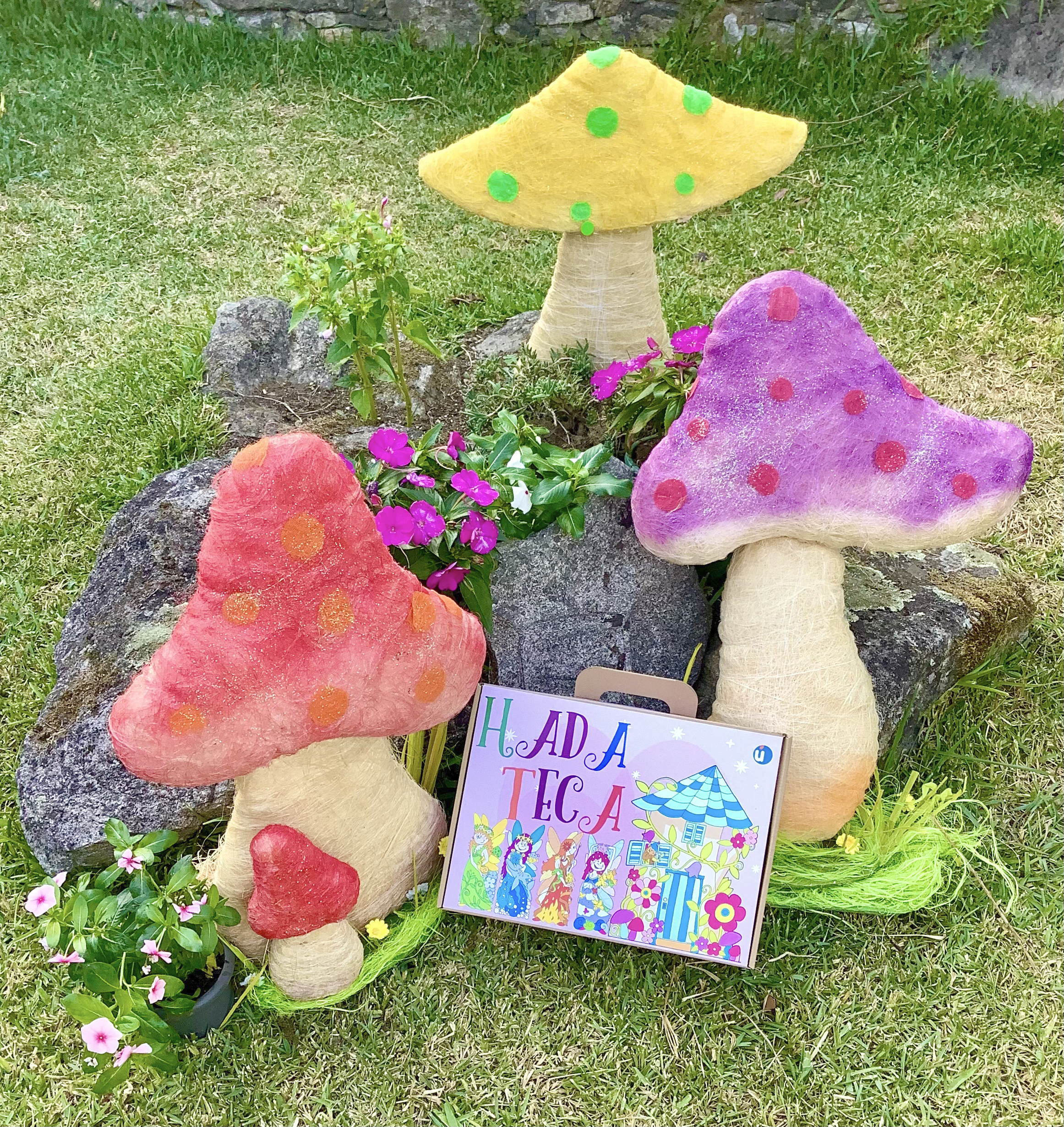 Maleta Hadateca - Imagen 6